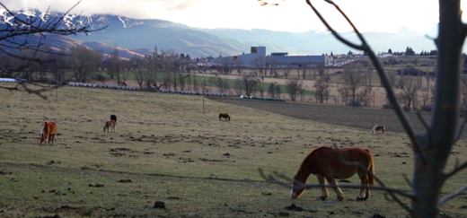 HOSPITAL TRANSFRONTERER DE LA CERDANYA